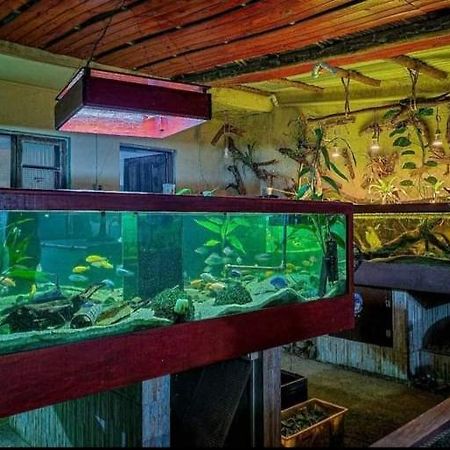 Recanto Villas Boas Ubatuba Eksteriør billede