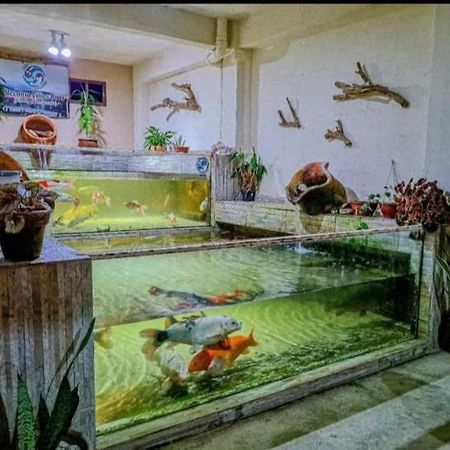 Recanto Villas Boas Ubatuba Eksteriør billede