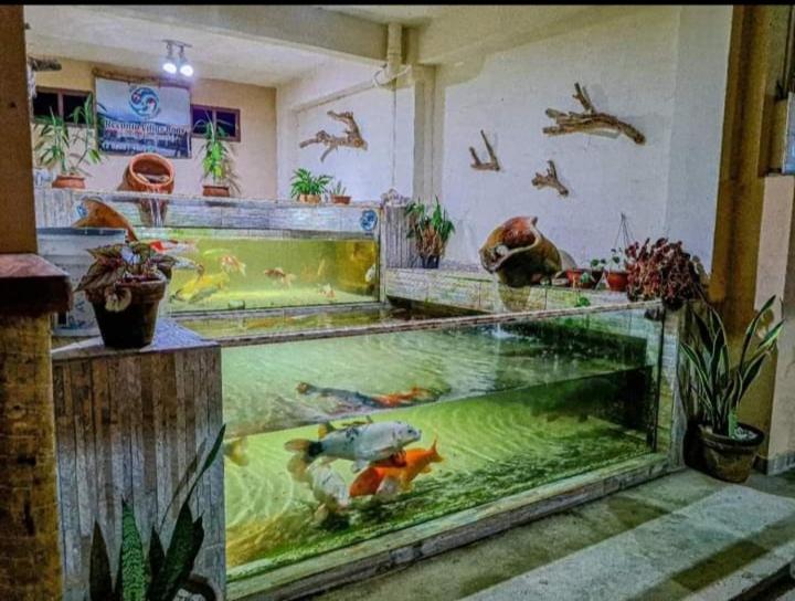 Recanto Villas Boas Ubatuba Eksteriør billede